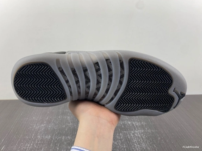 12 Grey Air CT8013-019 Black Jordan Wolf 1106